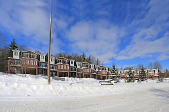 45 Cedarhill Cres in Kitchener, ON - Building Photo - Primary Photo