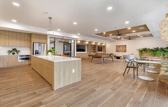 The Amber in Austin, TX - Building Photo - Building Photo