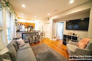 3 Alleghany St in Boston, MA - Building Photo