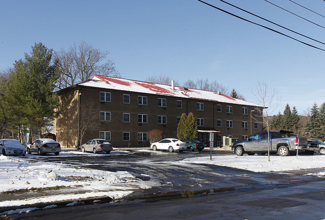 33 Academy St in Oneonta, NY - Building Photo