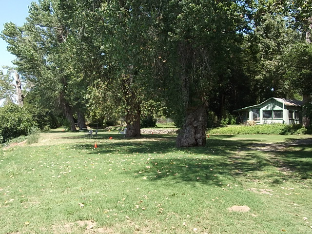 Driftwood & River Inn Parks in Los Molinos, CA - Building Photo