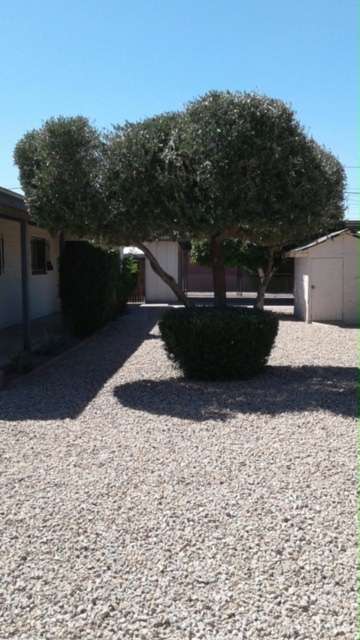 10014 N 18th Ave in Phoenix, AZ - Building Photo - Building Photo