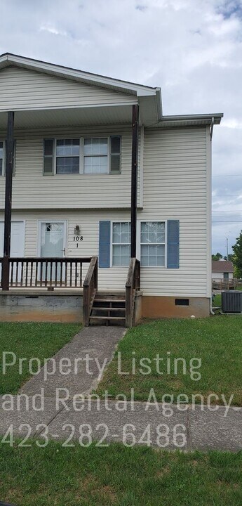 108 W Chilhowie Ave in Johnson City, TN - Building Photo