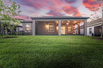 30950 Parrot Reef Ct in Wesley Chapel, FL - Building Photo - Building Photo