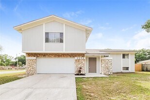 2902 Ripplewood Dr in Seffner, FL - Building Photo