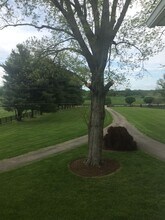 3376 Winchester Rd in Lexington, KY - Building Photo - Building Photo