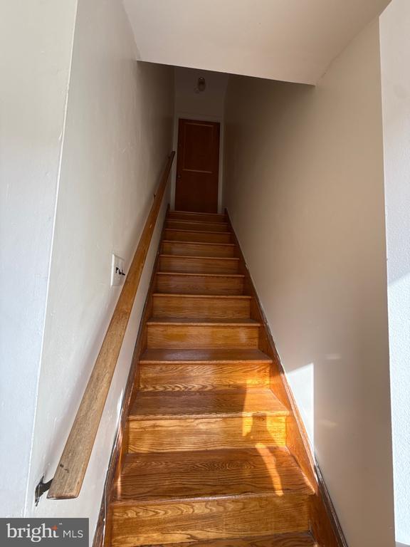 366 Ripka St in Philadelphia, PA - Building Photo - Building Photo