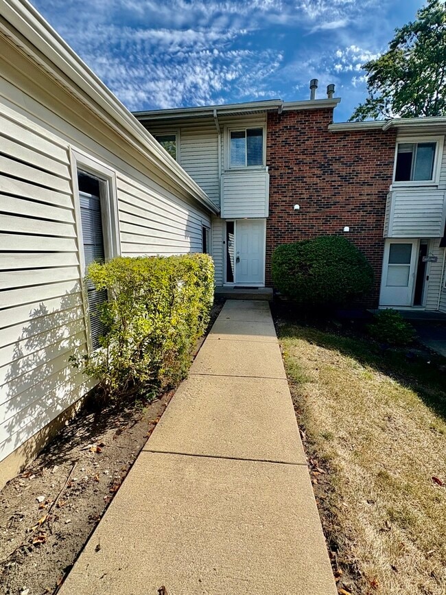 207 Walker Dr in Bolingbrook, IL - Building Photo - Building Photo