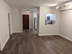 800 Custer Ave in Evanston, IL - Building Photo - Building Photo