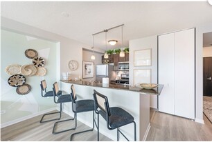 347 E Ohio St in Chicago, IL - Building Photo