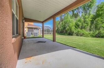 20513 Sultana Ct in Tampa, FL - Building Photo - Building Photo