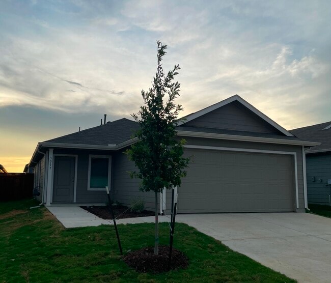 property at 3017 Burmese St