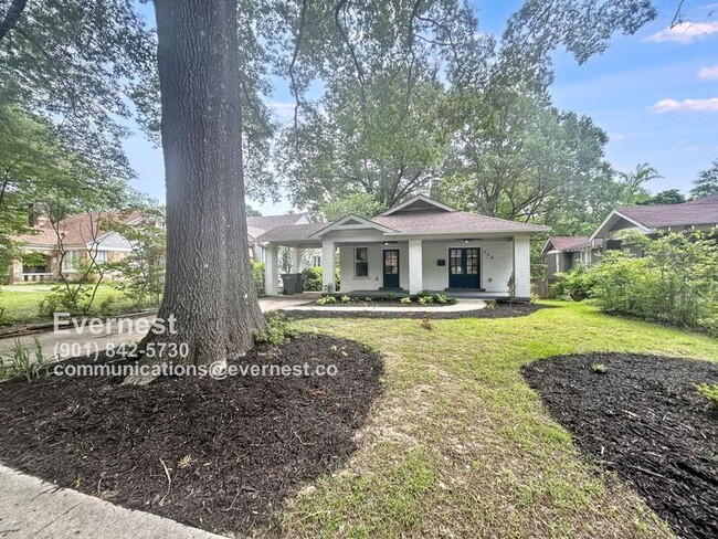 property at 354 Alexander St