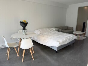 256 E 2nd Ave in Vancouver, BC - Building Photo - Building Photo
