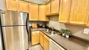 1319 W Addison St in Chicago, IL - Building Photo - Building Photo