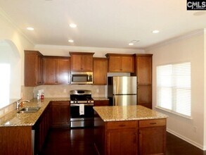 297 Massey Cir in Chapin, SC - Building Photo - Building Photo