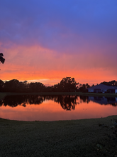 2624 Sapphire Blue Ln in Bradenton, FL - Building Photo - Building Photo