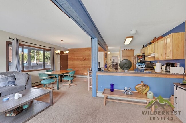 102 Salt Lick Cir in Silverthorne, CO - Building Photo - Building Photo