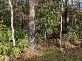 7751 Fawn Lake Dr S in Jacksonville, FL - Building Photo