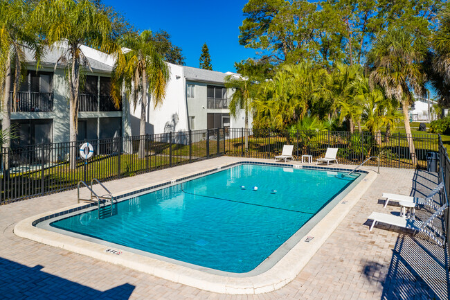 Portofino at Largo in Largo, FL - Building Photo - Building Photo