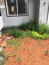 3800 E 2nd Ave in Post Falls, ID - Building Photo - Building Photo