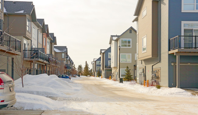 Neptune Townhomes in Edmonton, AB - Building Photo - Building Photo