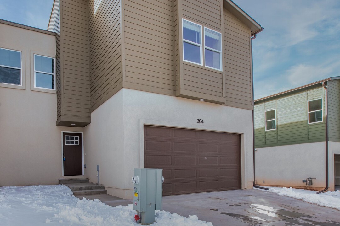 304 Spruce Mdw Grv in Woodland Park, CO - Building Photo