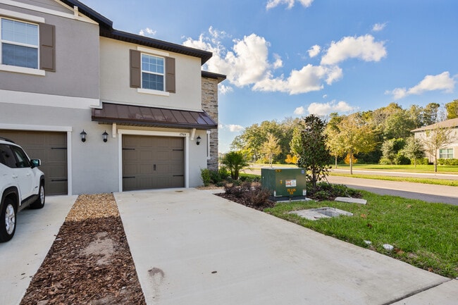 17504 Nectar Flume Dr in Land O Lakes, FL - Building Photo - Building Photo
