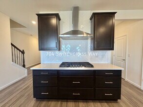 704 Switchgrass Wy in Bolingbrook, IL - Building Photo - Building Photo