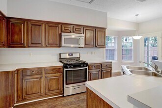 14203 Cascade Falls Dr in Houston, TX - Building Photo - Building Photo