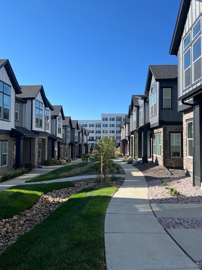 11836 W 52nd Ave Rentals in Wheat Ridge, CO