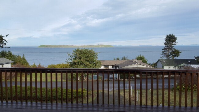 221 Spring View Pl in Sequim, WA - Building Photo - Building Photo
