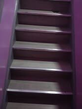 67 Rose Ter in Newark, NJ - Building Photo - Building Photo