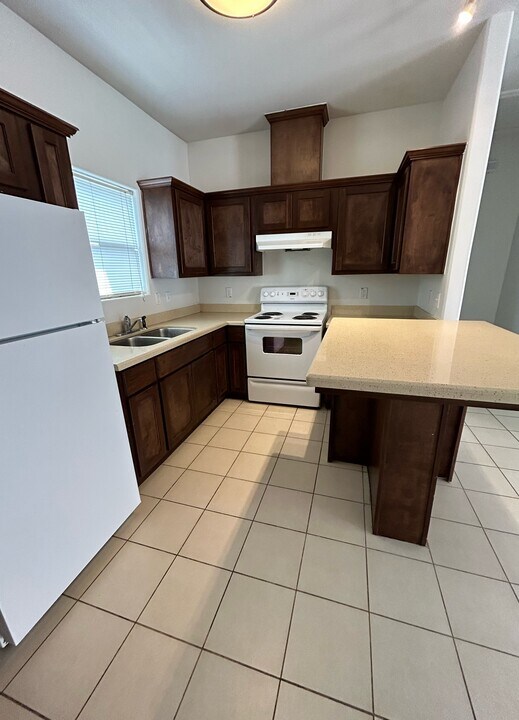 3001 Diamondhead Ave in Alton, TX - Building Photo