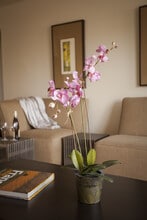 SDK Lodi Apartments in Lodi, NJ - Foto de edificio - Building Photo