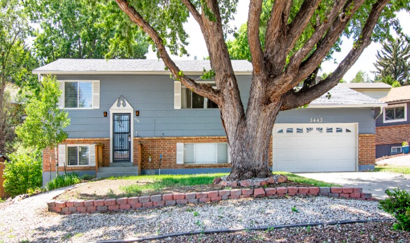 3443 Amador Cir in Colorado Springs, CO - Building Photo