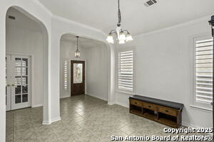 211 Aster Trail in San Antonio, TX - Building Photo - Building Photo