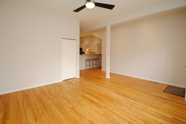 711 N Hoyne Ave in Chicago, IL - Building Photo - Building Photo