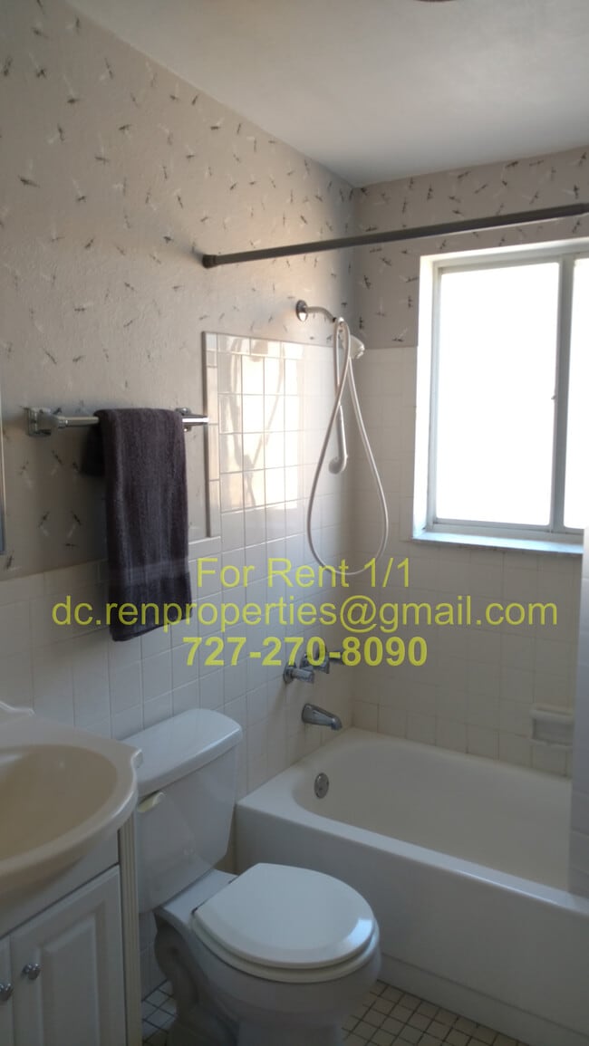 6751 Carnelian Ave, Unit 6751 in New Port Richey, FL - Building Photo - Building Photo