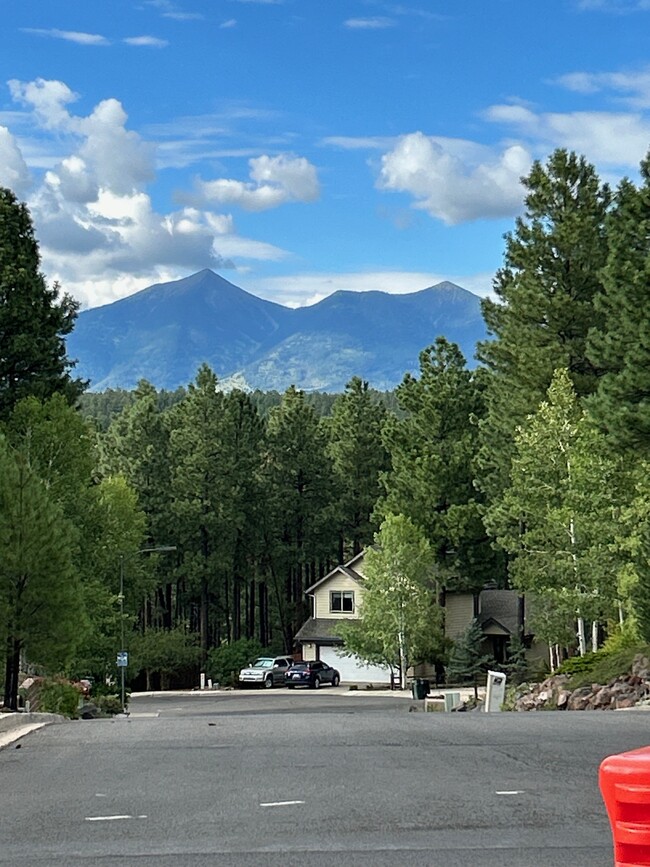 2407 S Rocking Horse Ln in Flagstaff, AZ - Building Photo - Building Photo