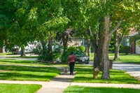 Apartments in Country Club Hills, IL