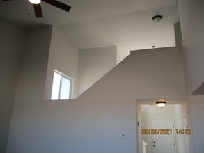 1734 Sundown Run Dr in Windsor, CO - Building Photo - Building Photo