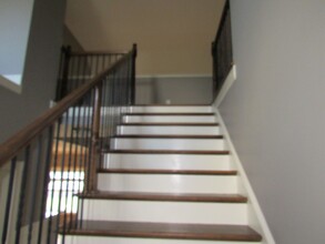 285 Solamere Ln in Auburn, AL - Building Photo - Building Photo