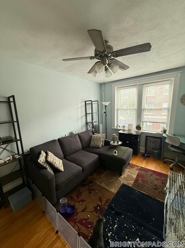 4 Carol Ave in Boston, MA - Building Photo - Building Photo