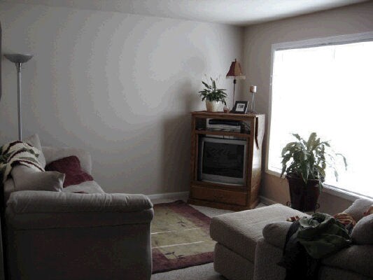668 Unshakeable Faith Ln N W in Bemidji, MN - Building Photo - Building Photo