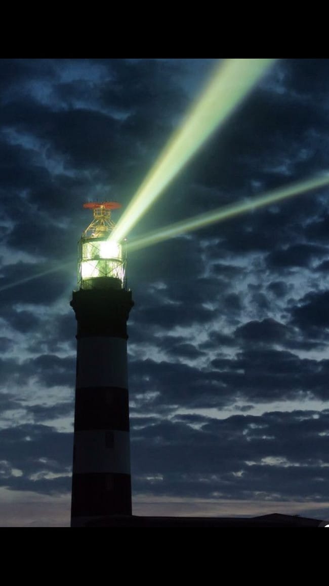 706 W 29th St in Los Angeles, CA - Foto de edificio - Building Photo