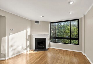 3825 Davis Pl NW, Unit 202 in Washington, DC - Building Photo - Building Photo