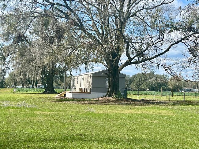 property at 1912 Richter Ln