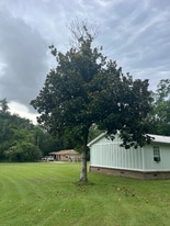 26743 Pine St in Elberta, AL - Building Photo