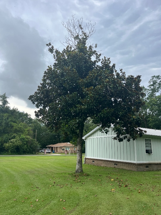 26743 Pine St in Elberta, AL - Building Photo